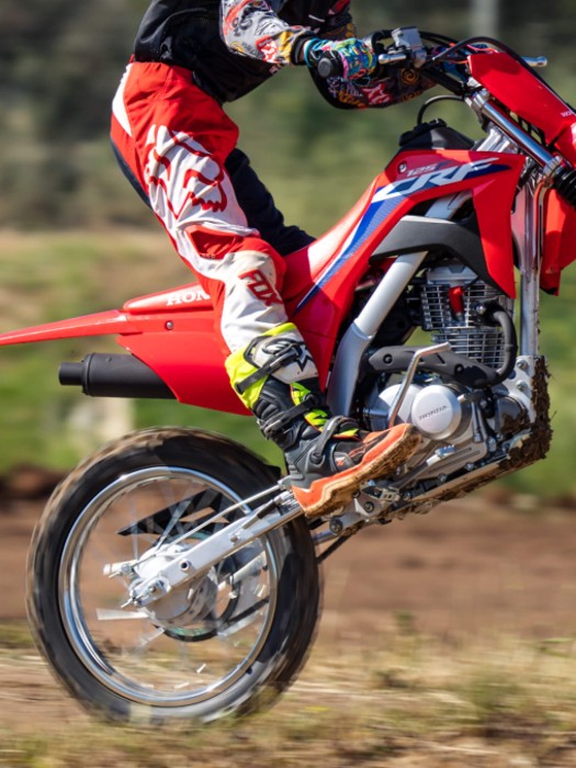 Rugged Steel Frame & Swingarm Rugged Steel Frame & Swingarm