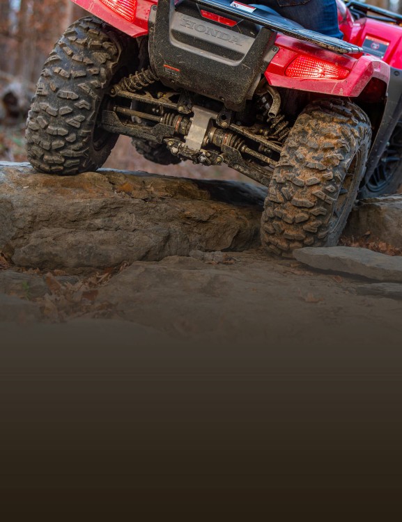 Independent Rear Suspension (IRS)