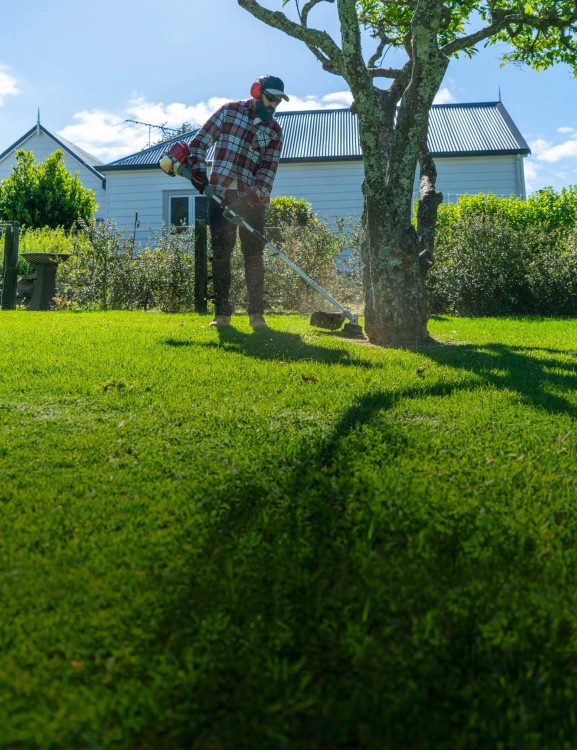 Strong trimming performance Strong trimming performance